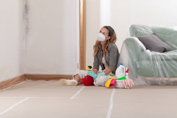 Reliable Black Mold Removal contractor in Dublin, VA by WQB Mold Removal